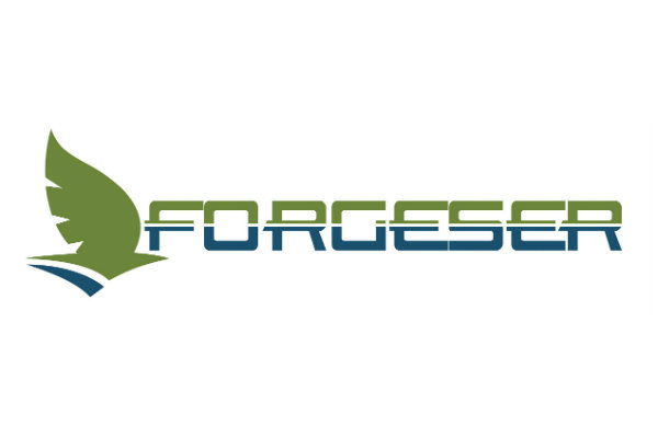 FORGESER SERVICIOS DEL SUR SL